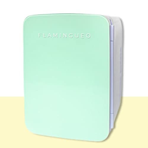 Flamingueo Mini Kühlschrank - Kühlschrank Klein 10L, Kühlschrank Retro, Mini Kühlschrank für Zimmer, Mini-kühlschränke 12V/220V, Skincare Fridge, Mini Fridge, Kühlen und Heizen, Kleine Kühlschränke
